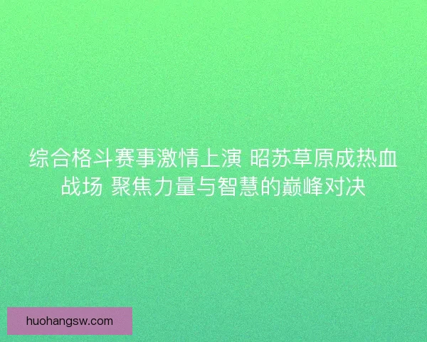 综合格斗赛事激情上演 昭苏草原成热血战场 聚焦力量与智慧的巅峰对决